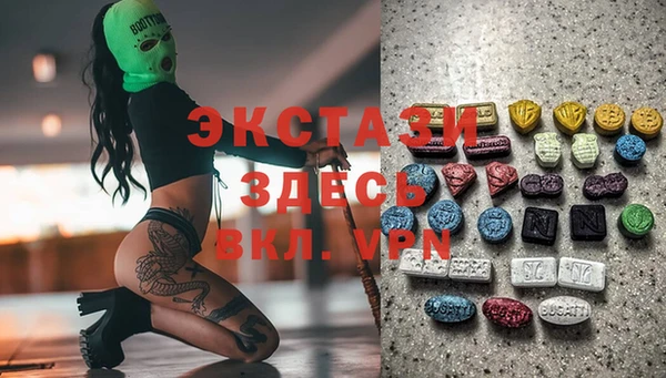 индика Инсар