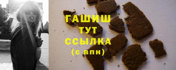 индика Инсар