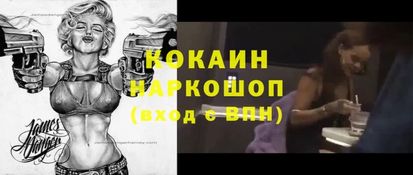 индика Инсар