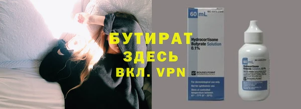 индика Инсар