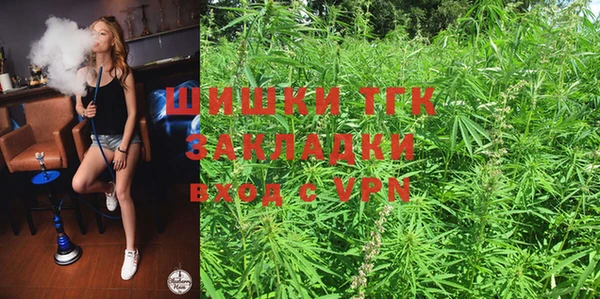 индика Инсар