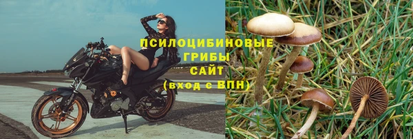 индика Инсар