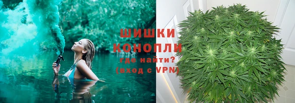 молекула духа Касимов