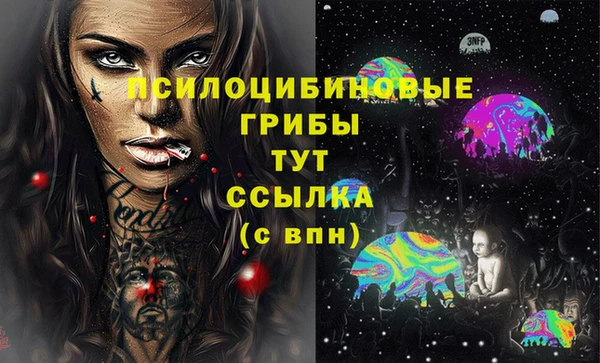 сатива Каменск-Шахтинский
