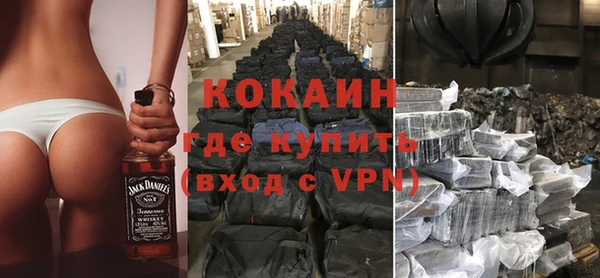 индика Инсар