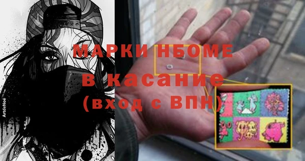 индика Инсар