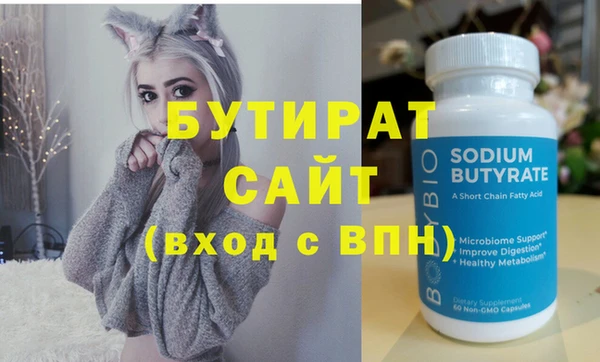 индика Инсар
