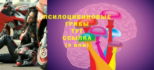 соль ск Инта