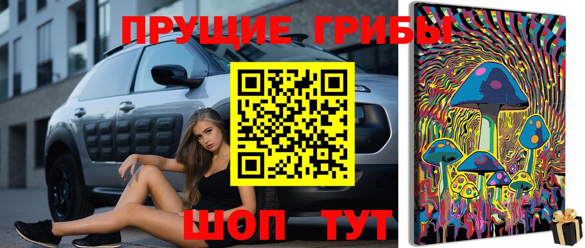Псилоцибиновые грибы ЛСД Мегион