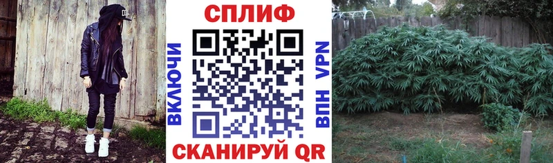 Бошки Шишки тримм  Мегион 
